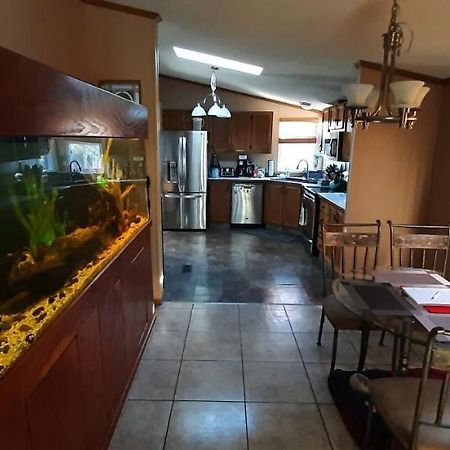 Private Pet Friendly Home Near Exotic Deer Farm Close To Pigeon Forge, Gatlinburg Tn Sevierville Extérieur photo