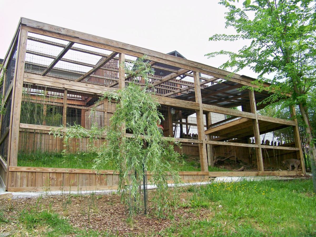Private Pet Friendly Home Near Exotic Deer Farm Close To Pigeon Forge, Gatlinburg Tn Sevierville Extérieur photo
