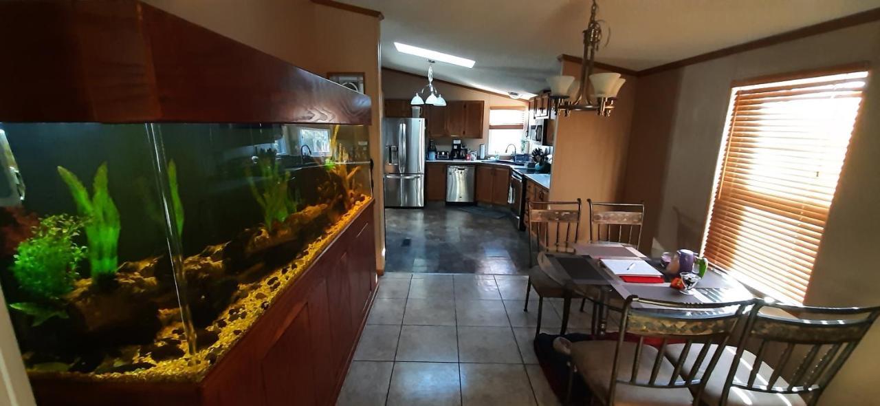 Private Pet Friendly Home Near Exotic Deer Farm Close To Pigeon Forge, Gatlinburg Tn Sevierville Extérieur photo